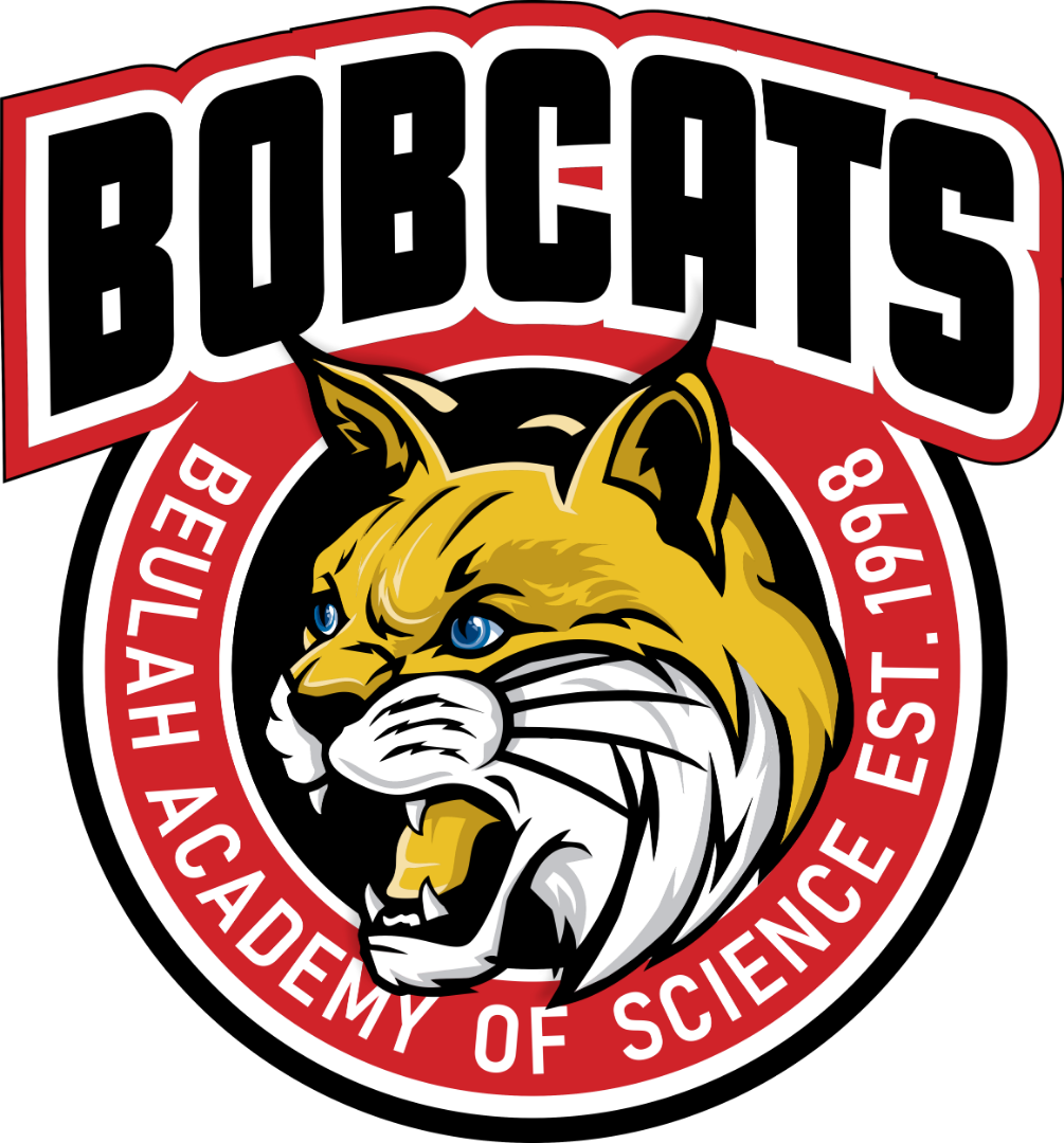 Bobcats logo