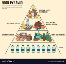 Food Pyramid