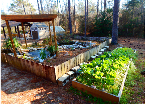 Garden at the RHEC