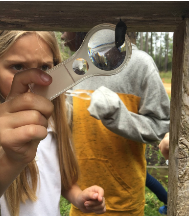 Girl looking at a chrysalis through a magnifying glass