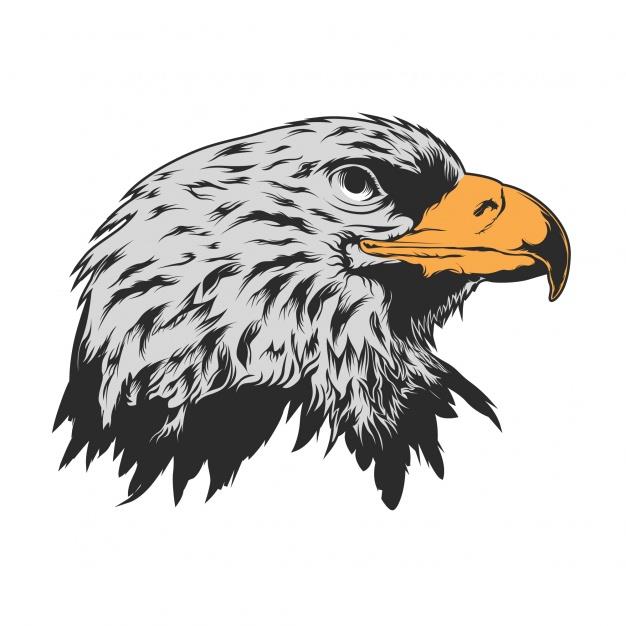 Eagle head