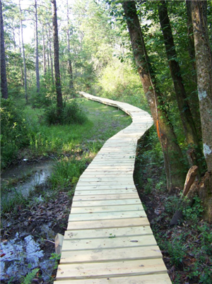 Boardwalk at the RHEC