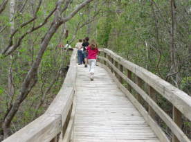 Nature Trail at RHEC