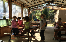 Kids studying outdoors