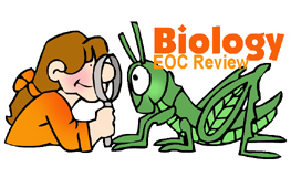 Biology End of Course Review