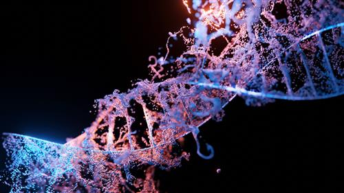 Image of a DNA strand