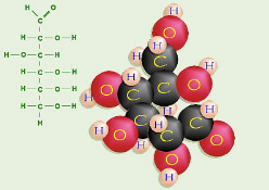 Macromolecules