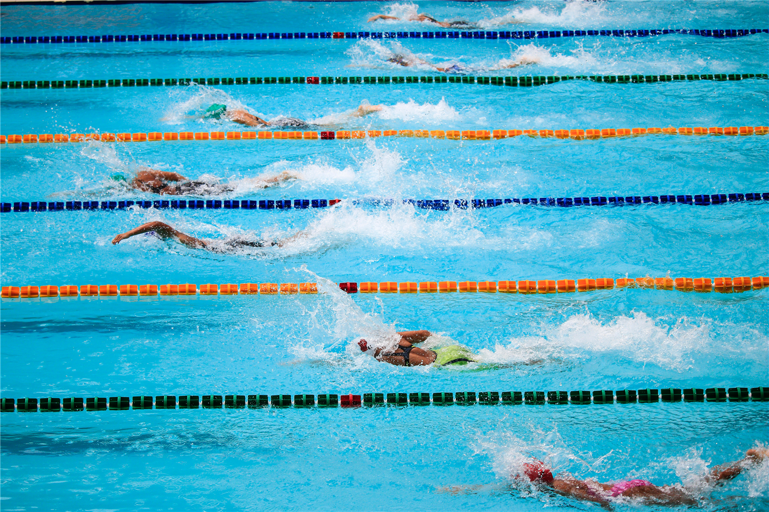 Swimmers competing  in a swimming pool