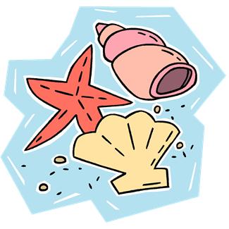 seashell seashell